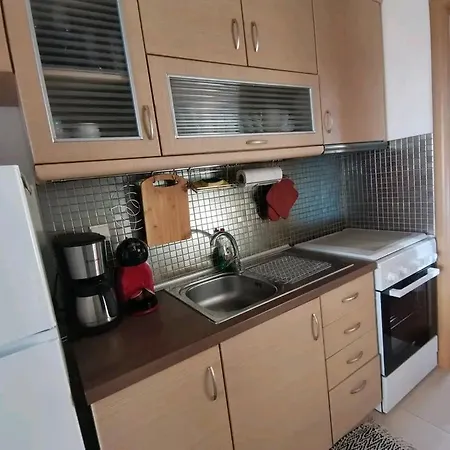 Iris Deluxe 3 דירה *